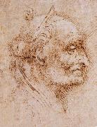 LEONARDO da Vinci Aurelio Luini attributed, profile of an old man oil painting reproduction